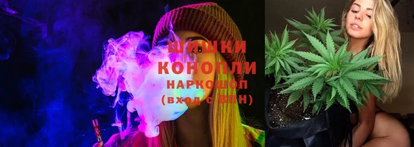 амф Володарск