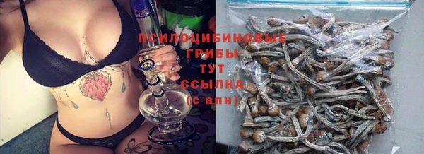 амф Володарск