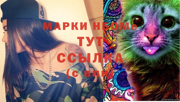 амф Володарск